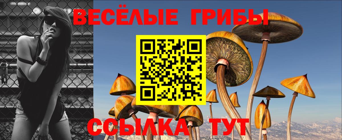 Галлюциногенные грибы мухоморы  Вход с VPN  Псилоцибиновые грибы GOLDEN TEACHER  Богданович 